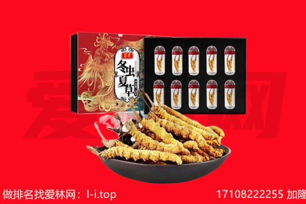 康县回收虫草.jpg